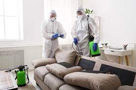 Office And Home Sanitization Service in New Delhi